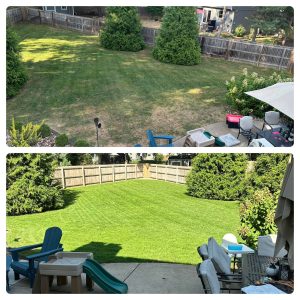 Beau Outdoors