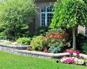 Lawn Care Services